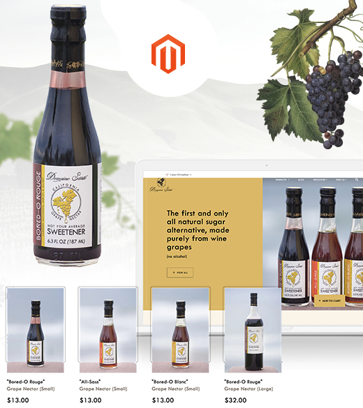 How Magento Platform Will Help You Have a Trendy Online Store?