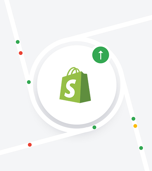Things You Should Know About SEO Services As A Shopify Owner